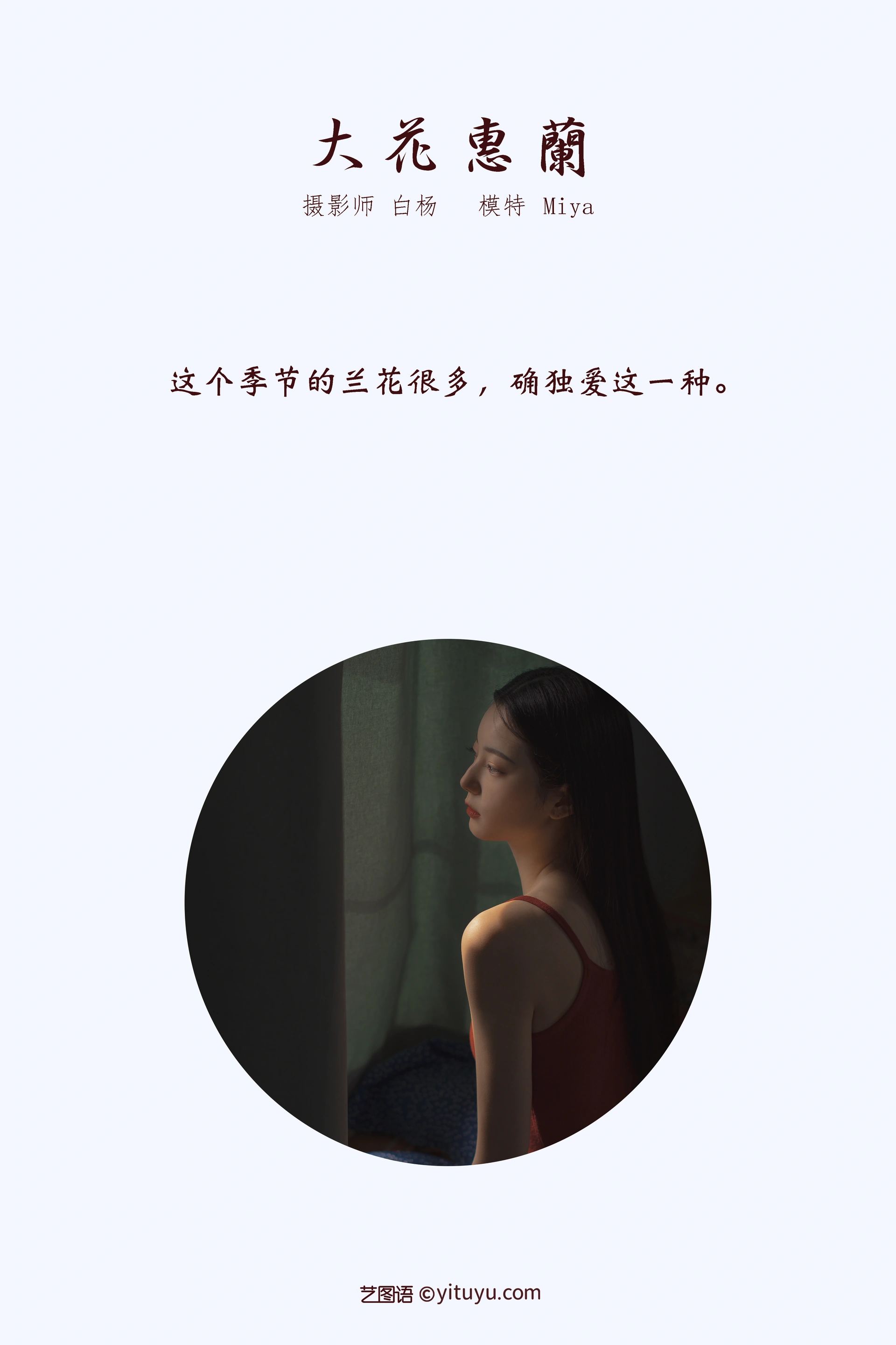 [YITUYU艺图语]2022.01.03 大花蕙兰 Miya怡君 0